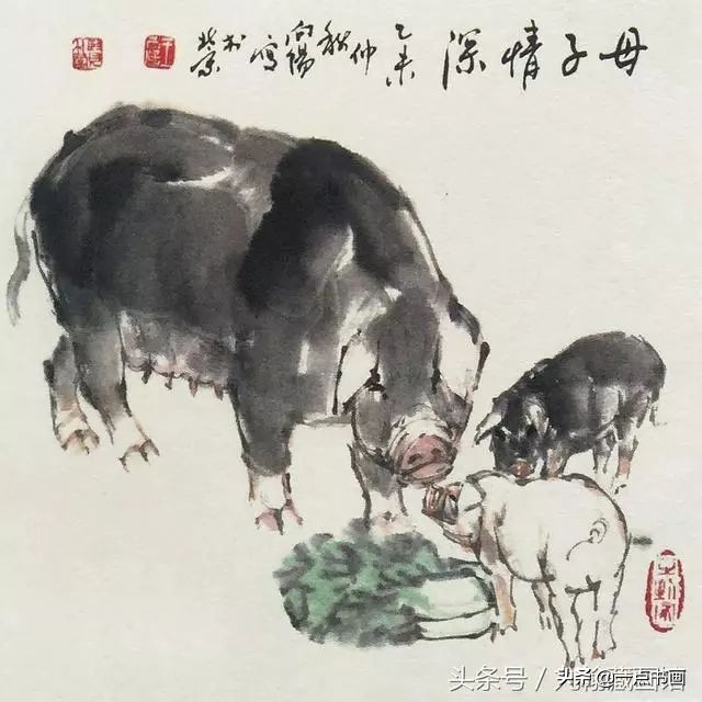 简单猪画画教学,国画写意猪图大全