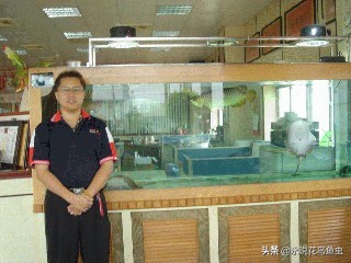 观赏鱼养殖技术论坛,观赏鱼鱼友交流