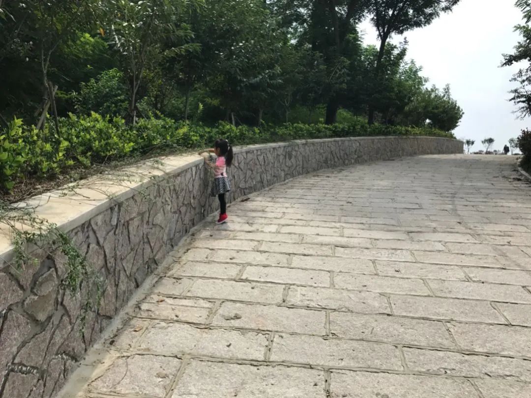 80后奶爸拍摄大片,80后奶爸拍摄西瓜视频