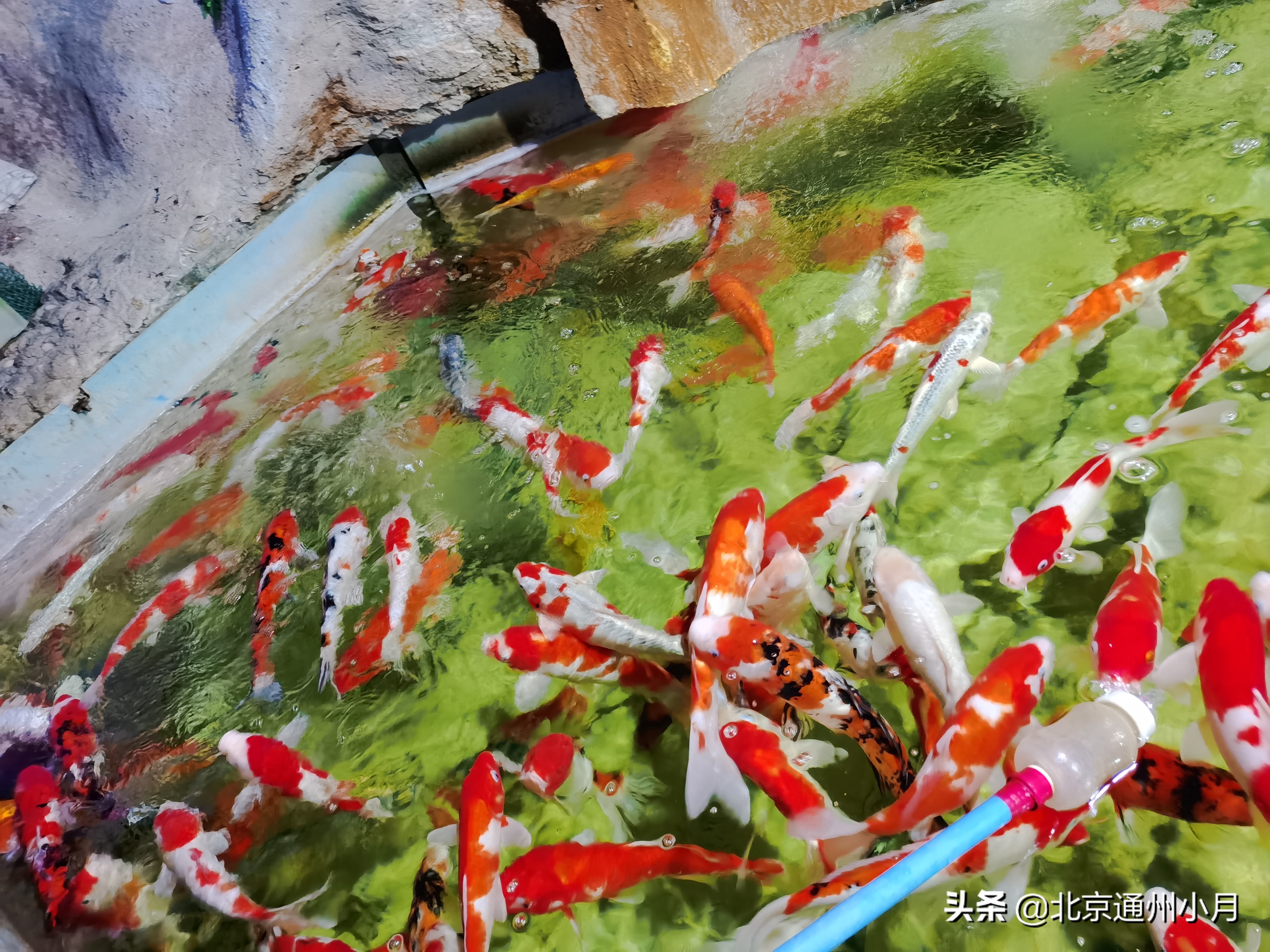 北京海底世界游览时间表,北京海底世界值得玩