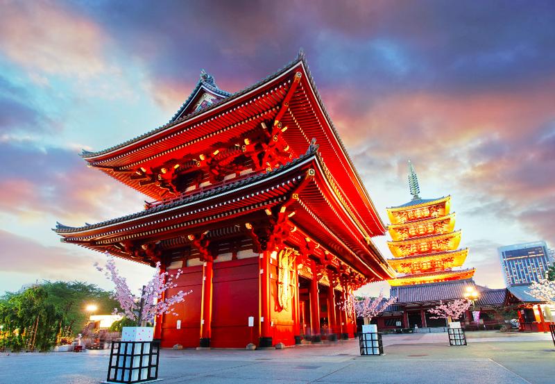 游轮自由行日本,一家五口游轮旅行日本