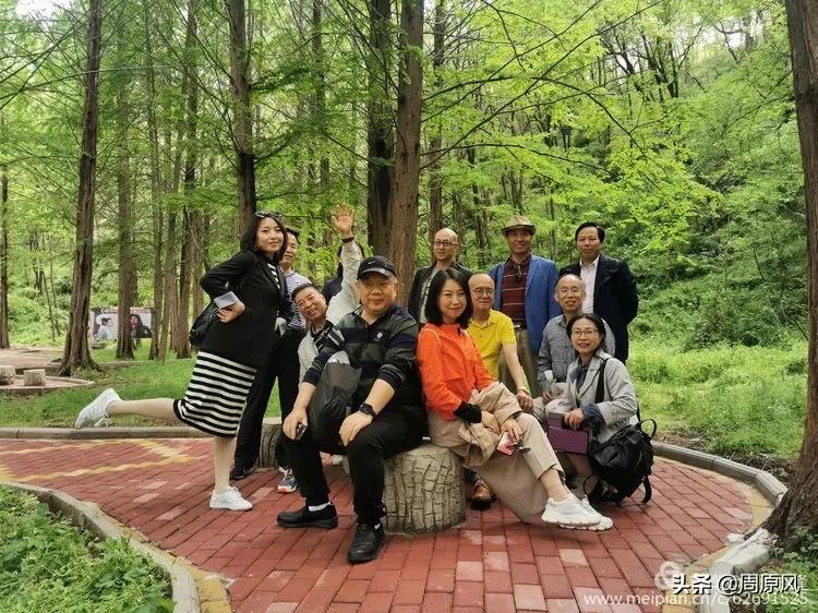 赴一场春日的邀约,五月赴一场与槐花的约会