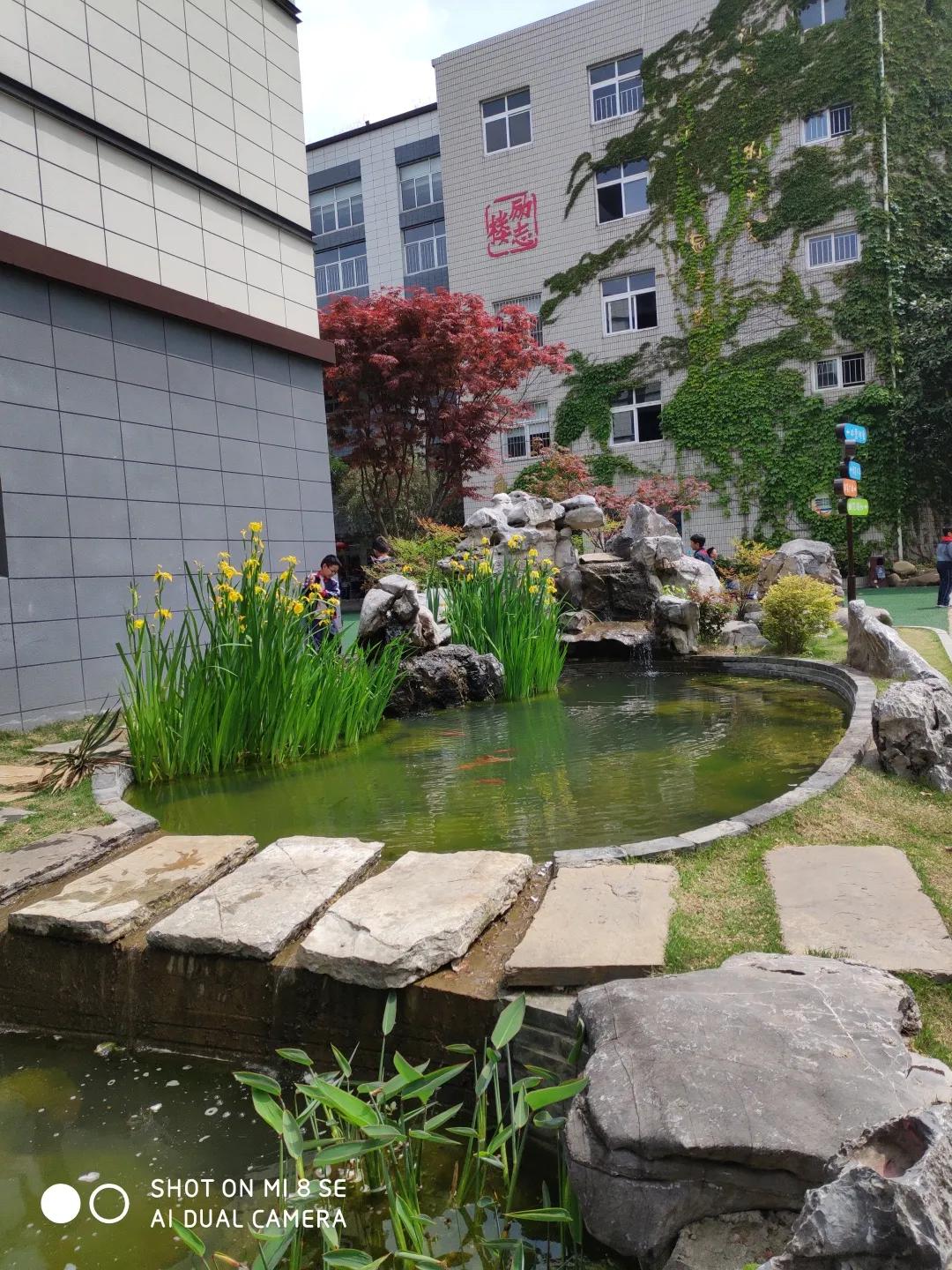 最美的风景美丽的校园,最美的风景就是校园