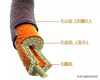 如何区分无硅油和有硅油的洗发水,怎么选择有硅油和无硅油的洗发水