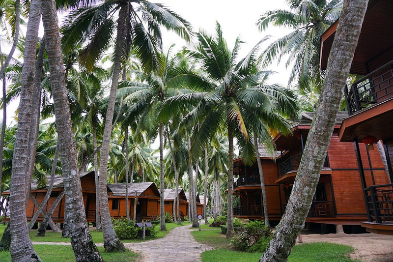 海南租车自驾,海南万宁租车哪家靠谱