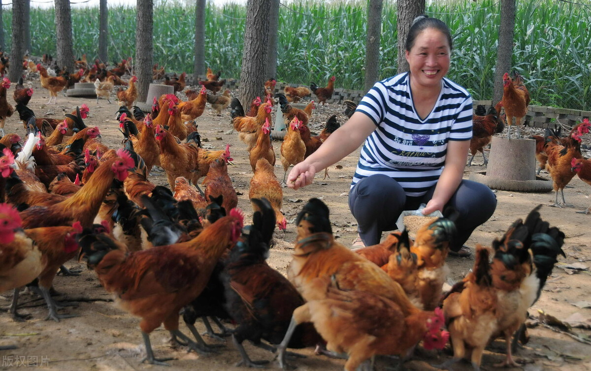 旅游现在越来越难做了,旅游从业者具备的优势