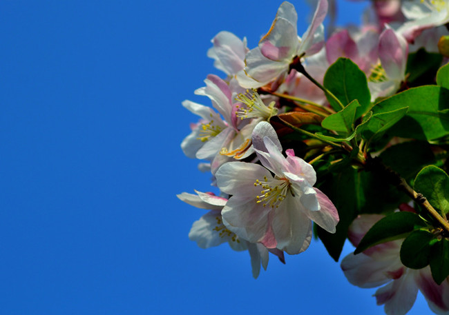 甯堜粊,甯堜粊灏忚鍏ㄩ泦