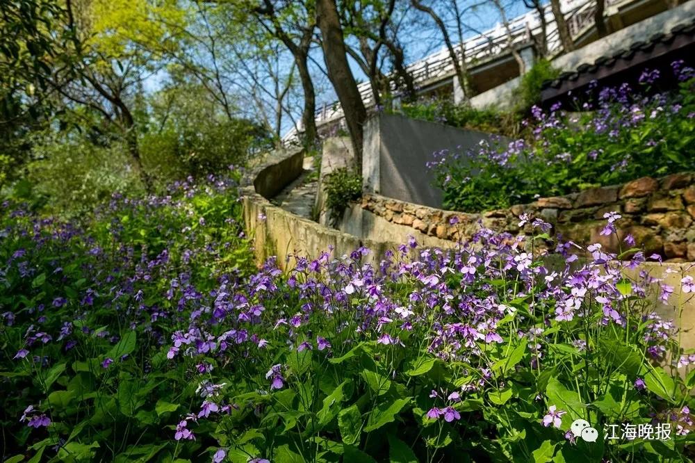 南通已经入春了吗,今年南通什么时候入春