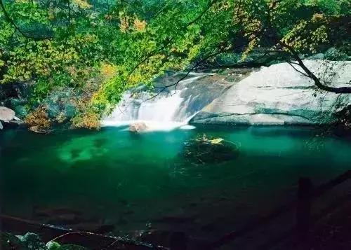 巴中南江要火了！入选国家生态示范县