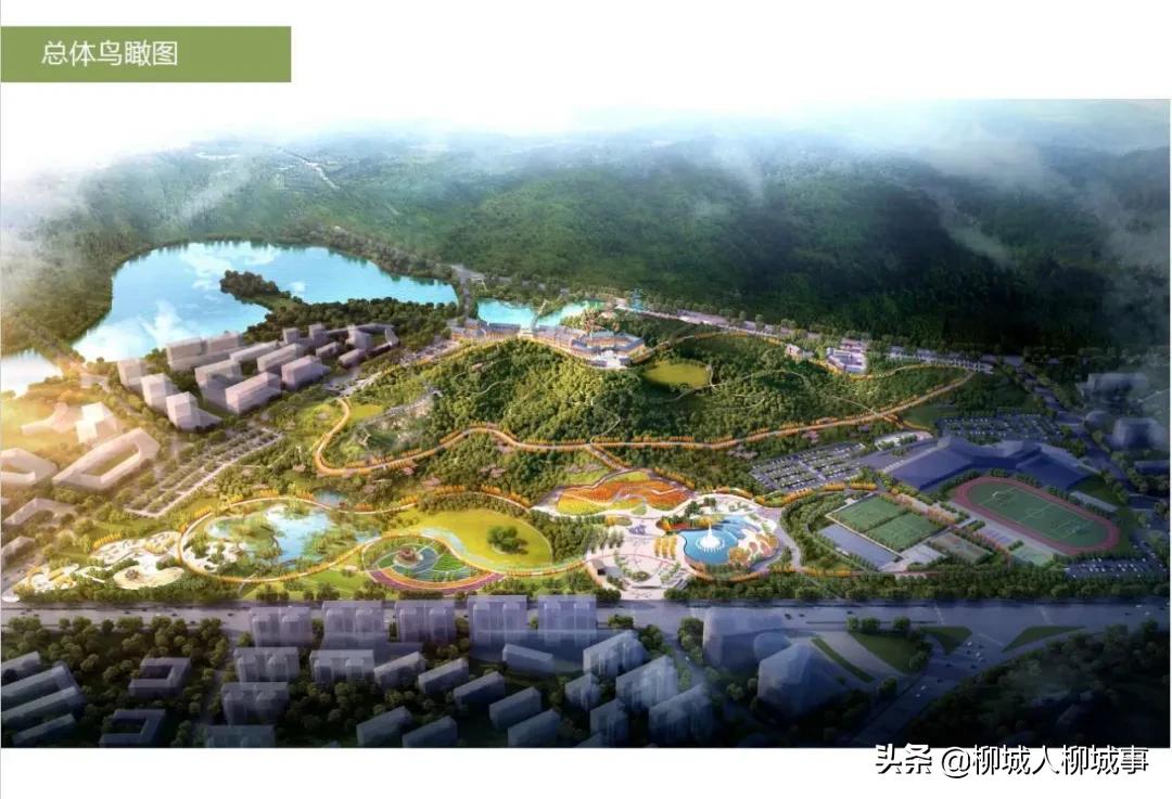 热闹非凡各种表演视频,热闹非凡的活动