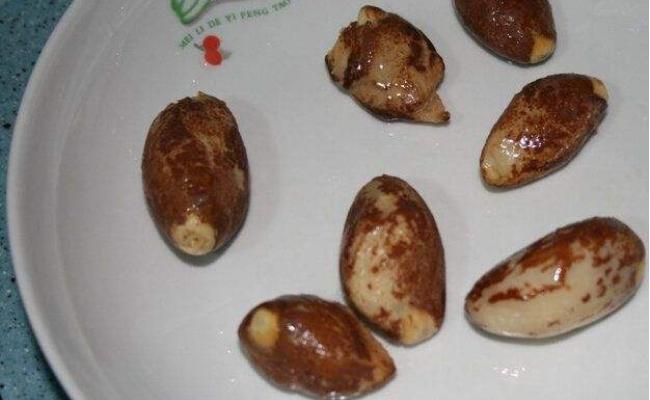 榴莲可以生长结果吗,榴莲核冒芽了就可以种了吗