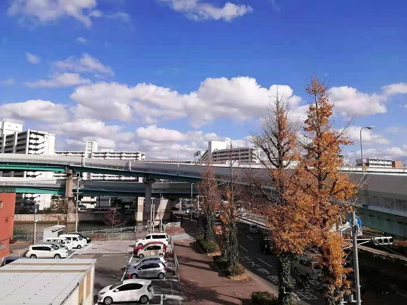 日本九州大学课程,日本九州大学怎么申请