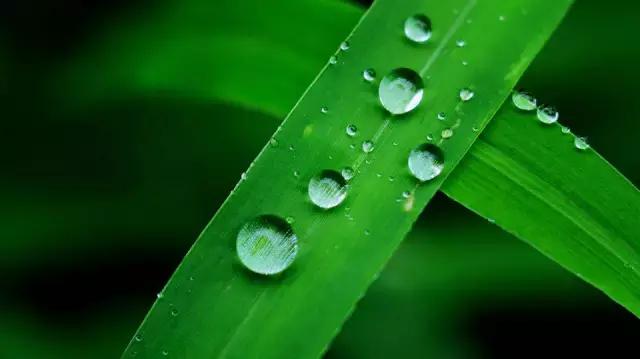 珠宝十二生肖的寓意和象征,珠宝佩戴风水