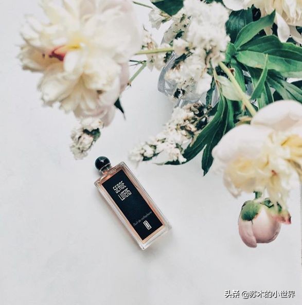 好物推荐十一月,好物双11节