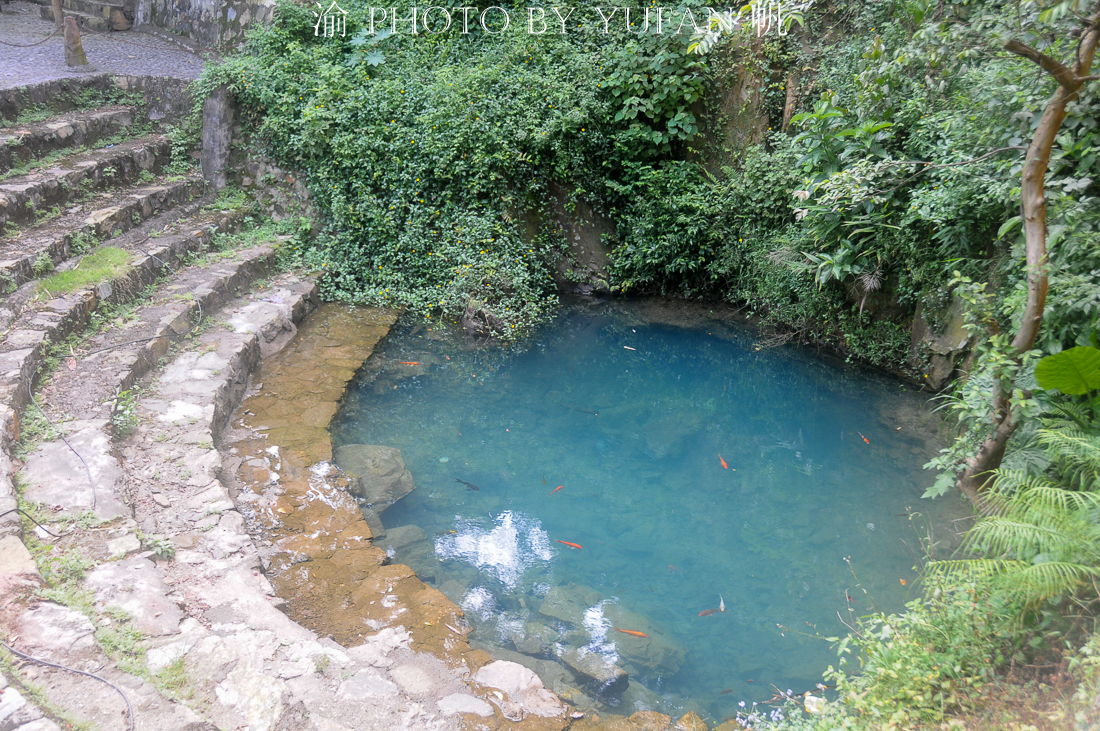 肇庆小众旅行,肇庆后花园美食