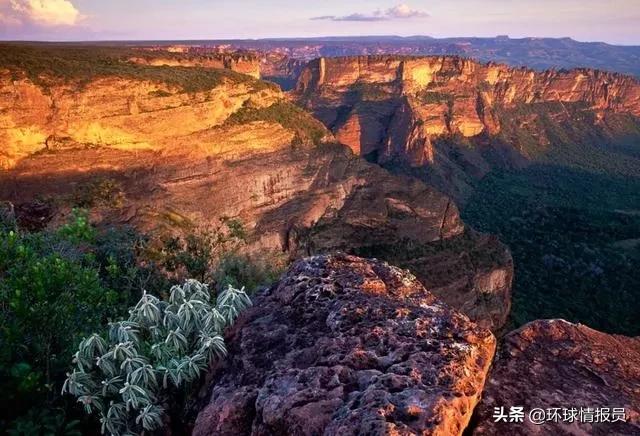 巴西把首都从沿海迁到内陆的原因,巴西为什么把首都迁到巴西利亚