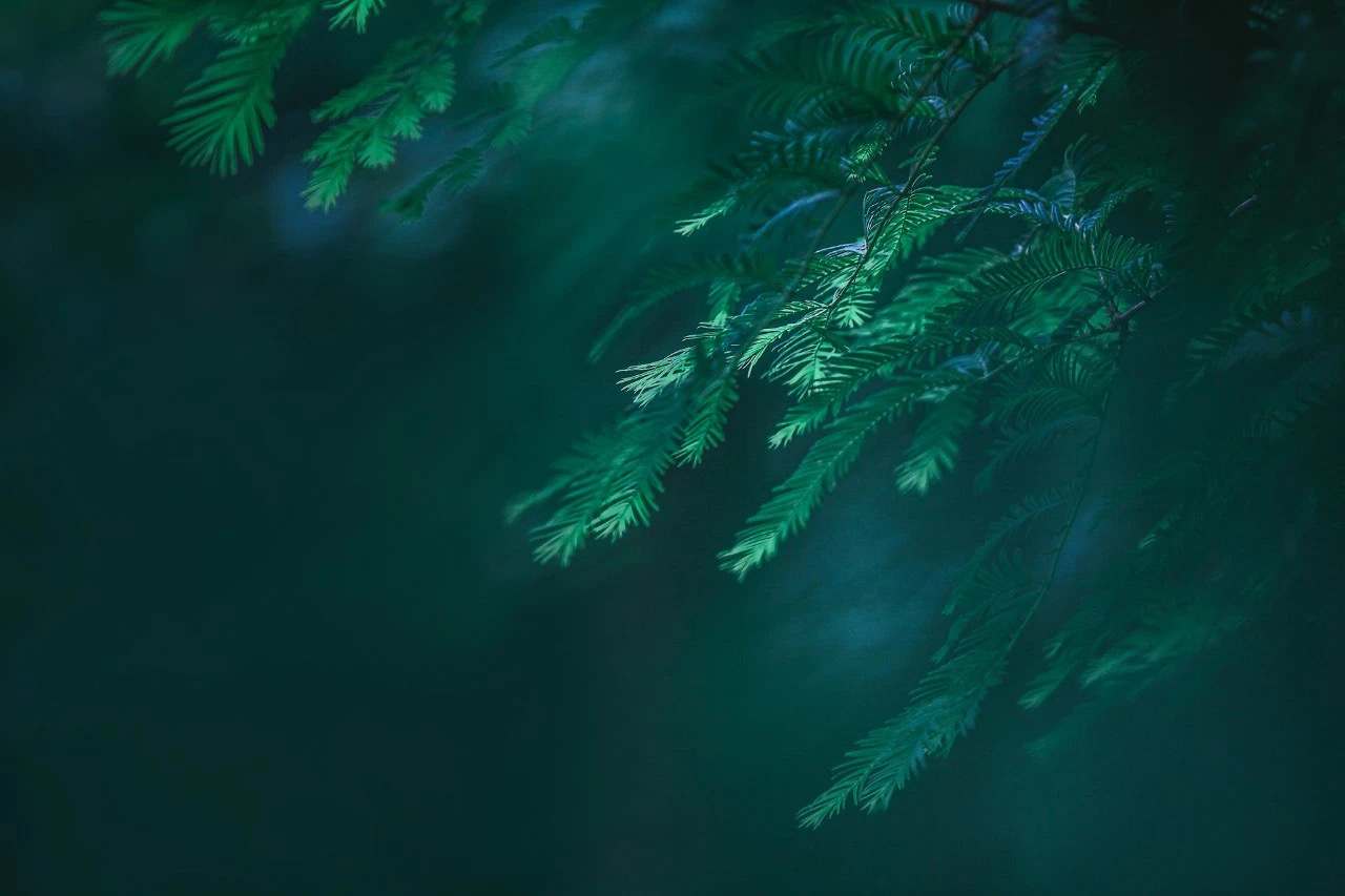 山河无恙感恩有你致敬最美逆行者,感恩有你山河无恙优美句子