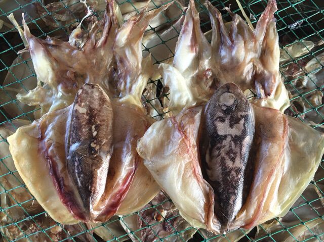 什么养殖一斤100元都还不愁销路,暴利养殖业50元一斤