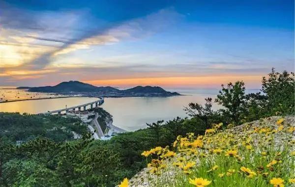 6月1日起山东免门票的景区名单,山东景区免门票政策有哪些