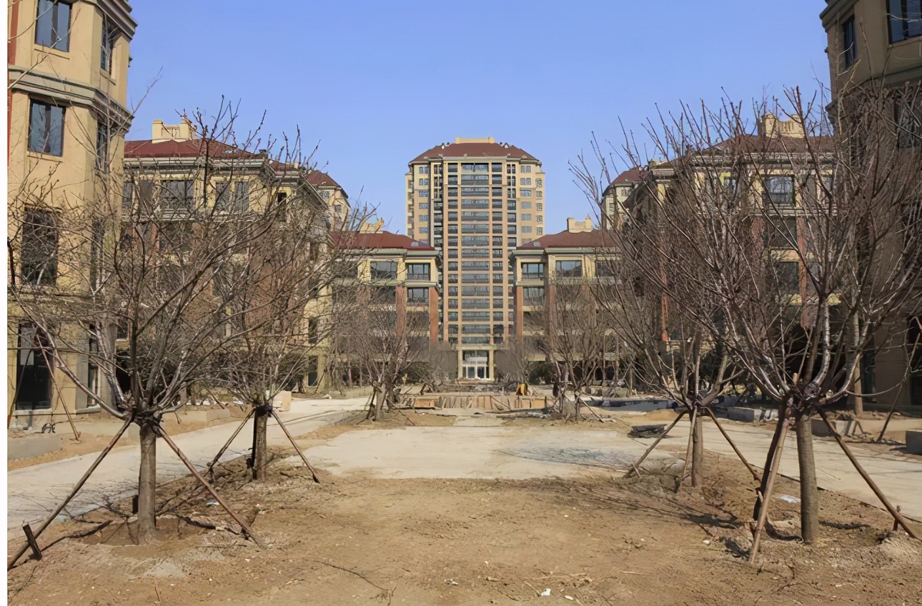 红岛经济区,红岛经济区最新消息