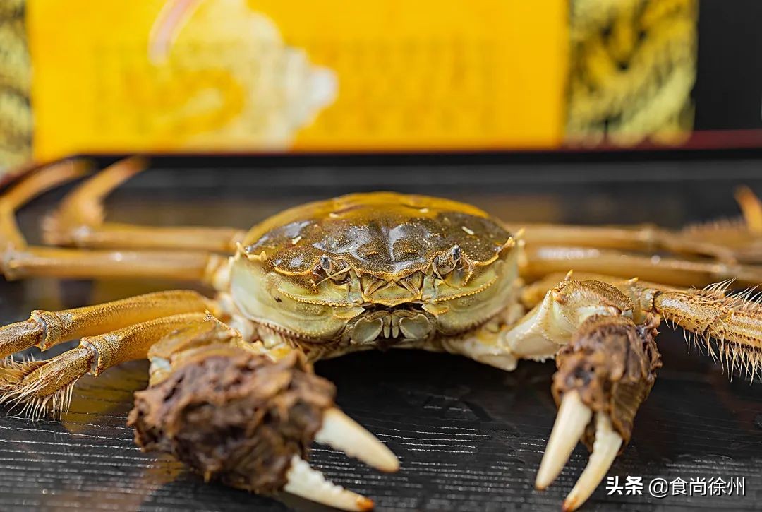 阳澄湖大闸蟹蟹黄蟹膏哪种好吃,去阳澄湖吃大闸蟹蟹黄