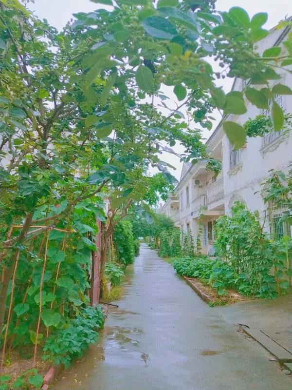 黄陂横山美丽乡村,黄陂区美丽乡村长生村