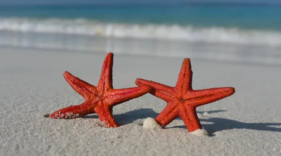 天蝎座与摩羯座为什么相爱相杀,天蝎座和摩羯座是相爱相杀吗