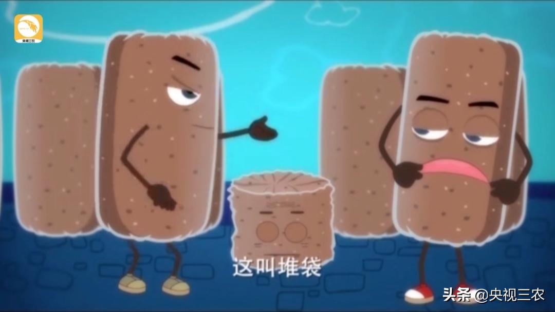 木耳一年利润多少钱,木耳赚钱案例