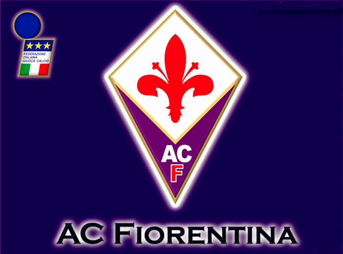 凋谢的紫百合，破碎的美丽足球之梦