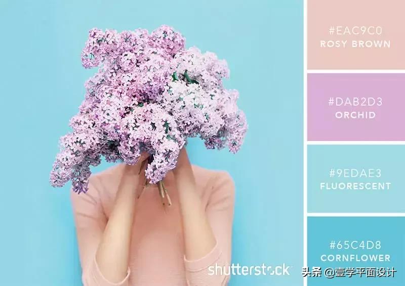 设计师钟爱的9组高级感配色方案,家装设计师配色方案色卡