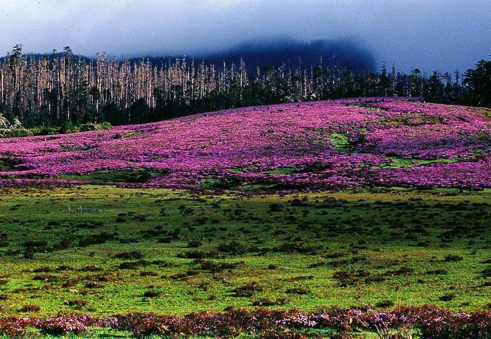 云南最美的旅游景点排名,大美云南11个县域旅游地