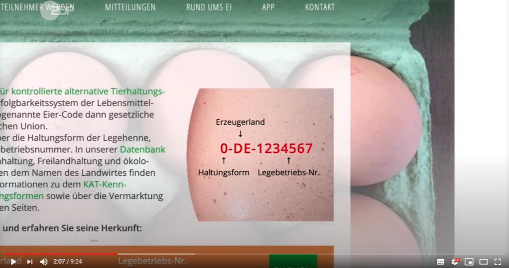 市场上的有机鸡蛋是真还是假,德国记者采访视频