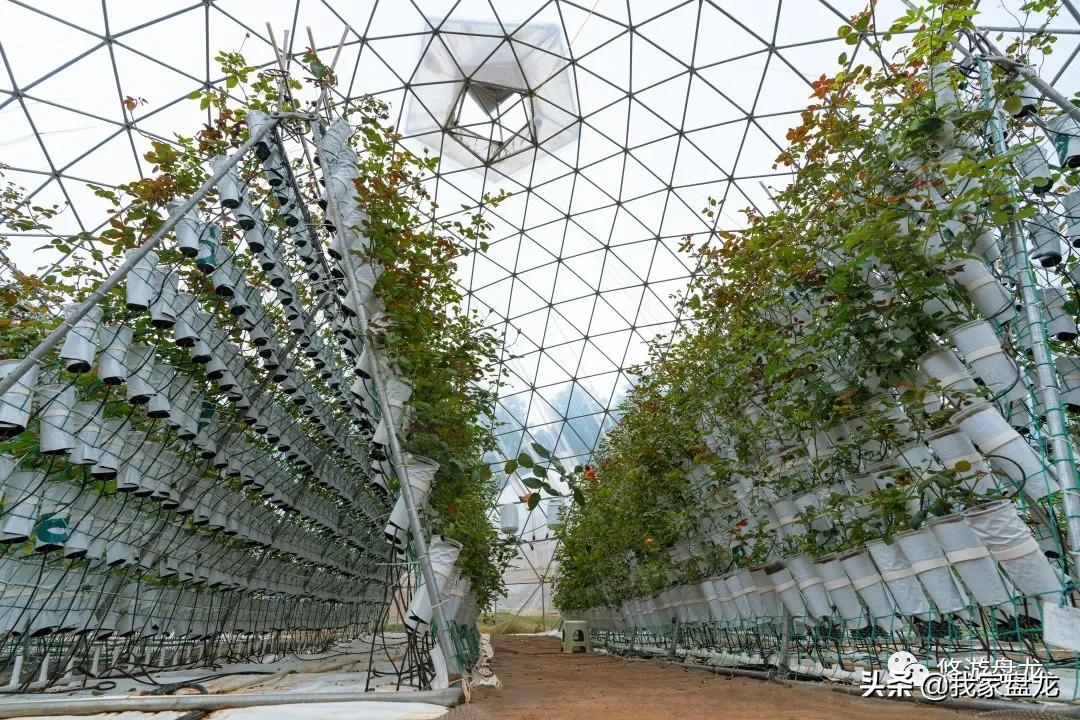 100张照片一百种幸福,100张图片带你去云南