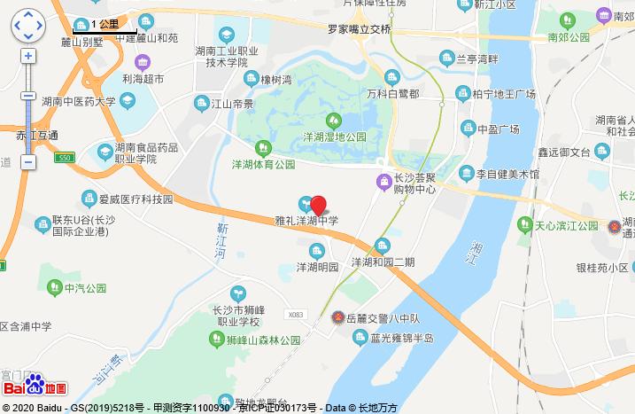 洋湖2025最新规划,洋湖发展