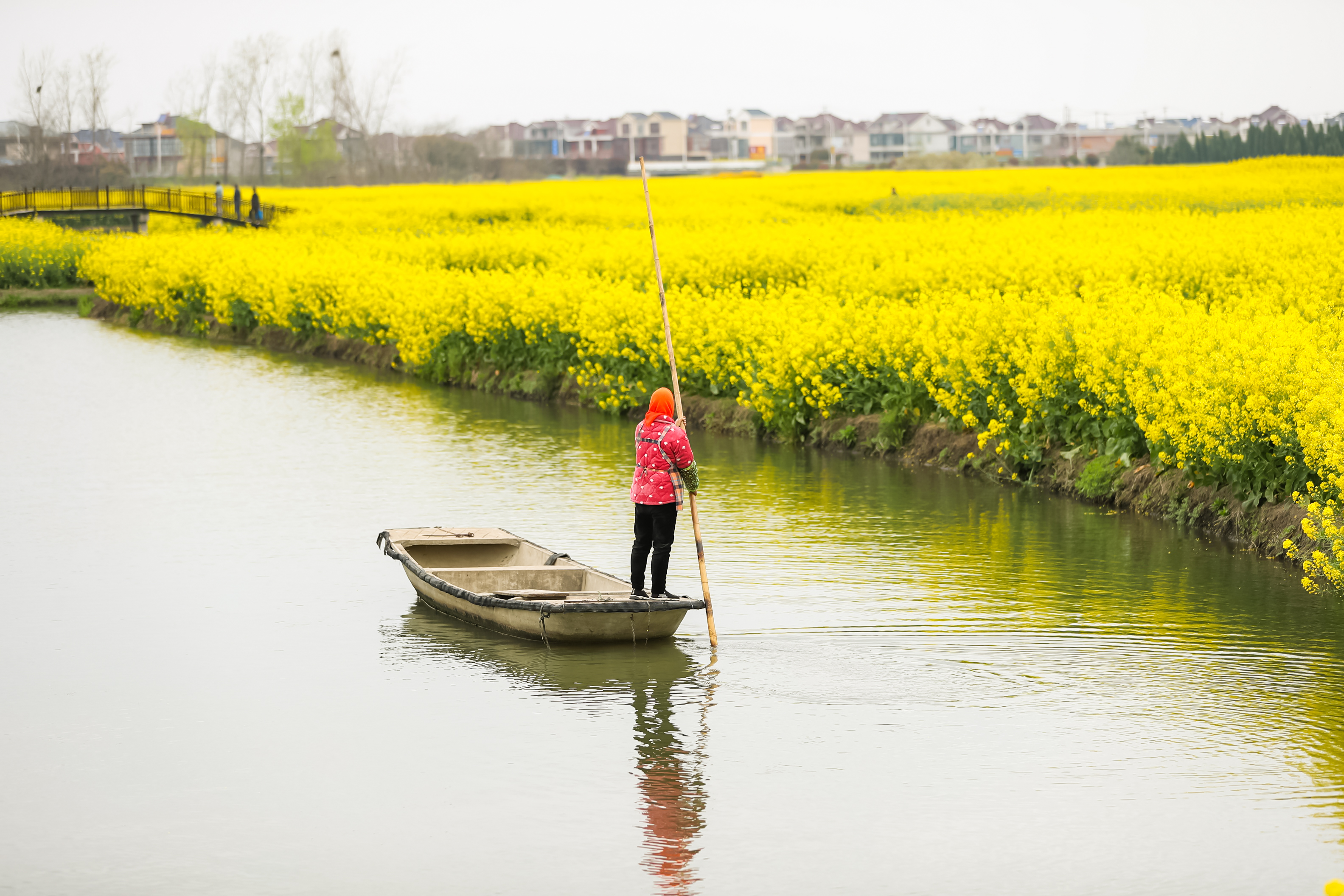 兴化三日游自驾游路线,去兴化看油菜花海攻略
