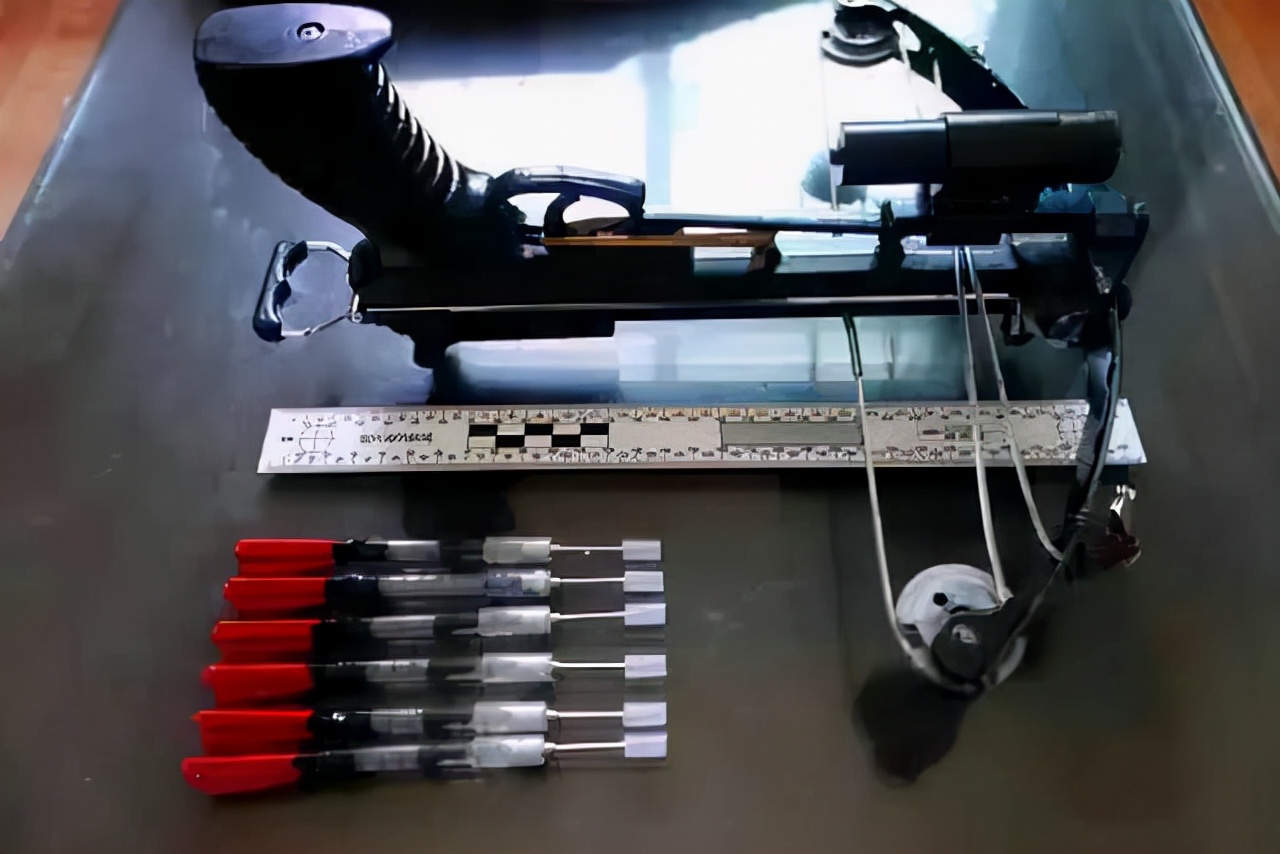 河南一男子开车用毒针射杀狗，村民吓得不敢动！毒狗针有多危险？