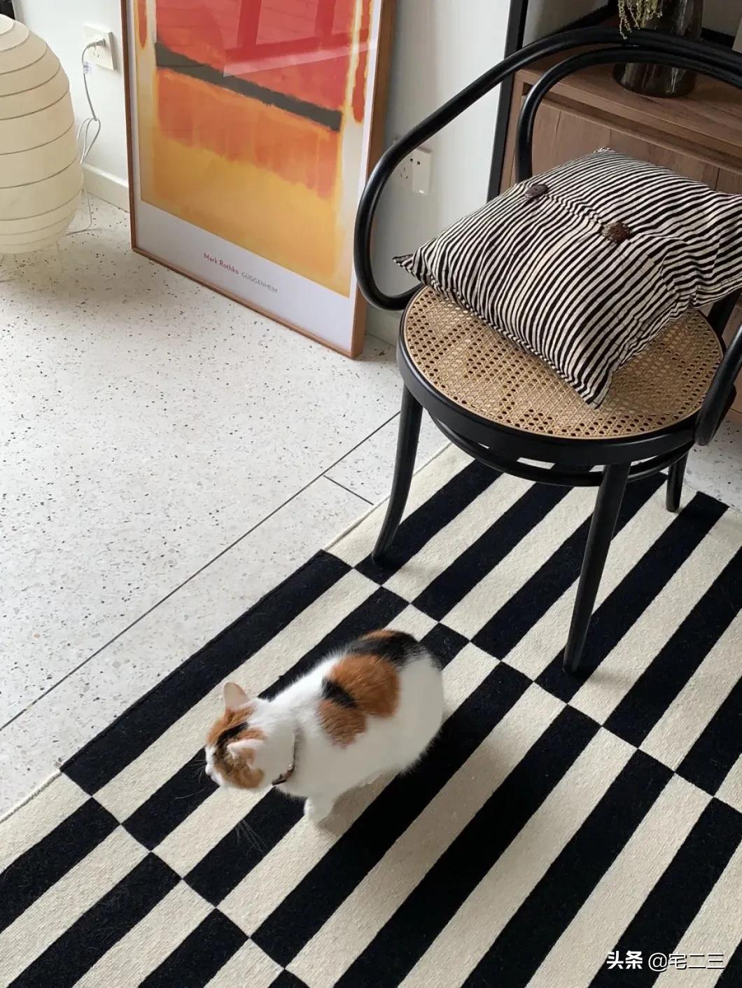 房间地毯推荐博主,国外博主的家地毯