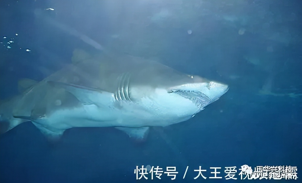 世界上三个未解之谜,世界四大未解之谜一个比一个神秘