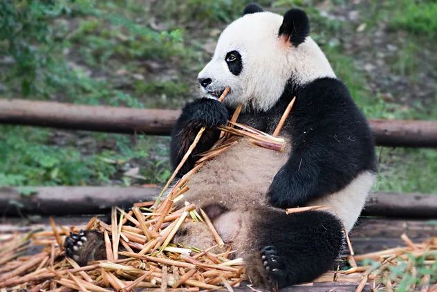 终于等到这一天!长沙酒吧、KTV、餐饮、商场,都可以去了!还有短程旅游,可以去这些地方!