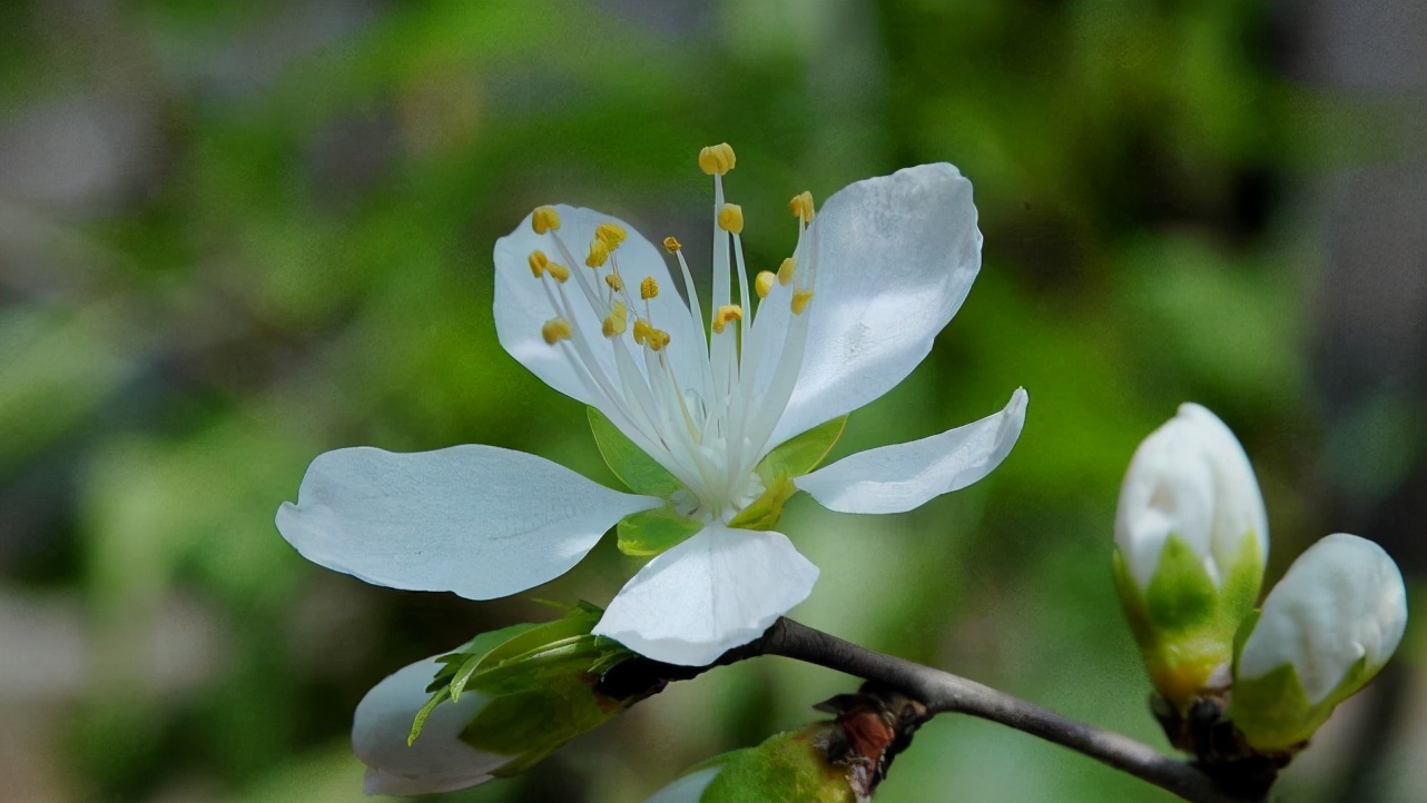 水瓶座很冷漠也很善良,水瓶座看似随和无主见