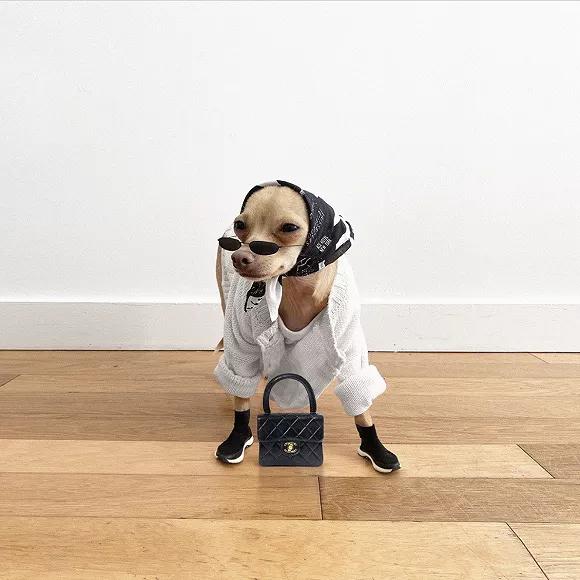 lv专卖店卖假事件,lv专柜假包事件