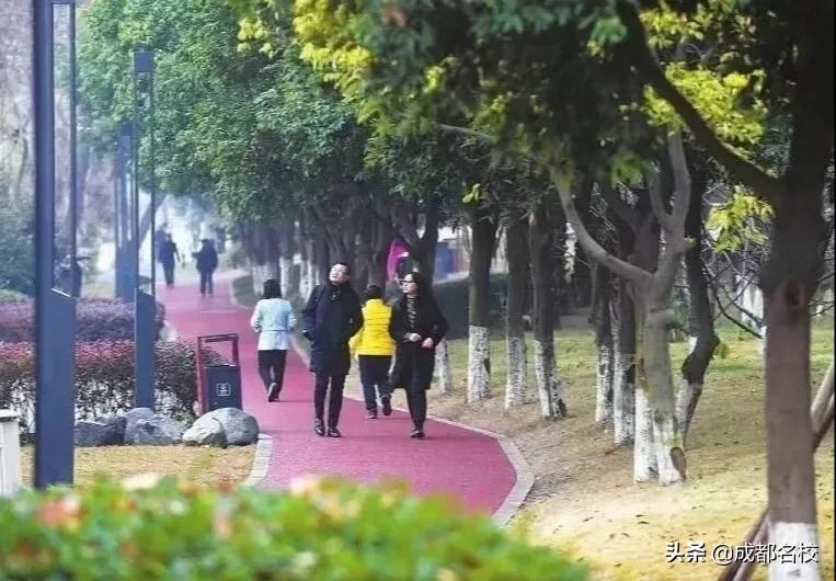 成华区新建湿地公园有哪些,成华区的综合性公园有哪些