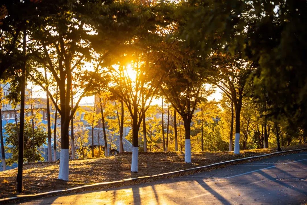 辽宁省民办大学（二）大连东软信息学院