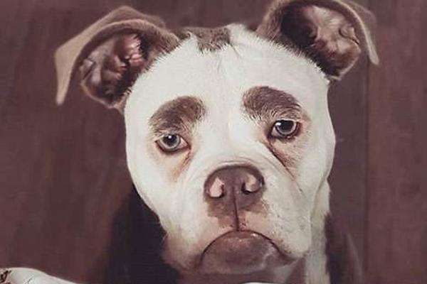 好好的怎么会得脓毒血症,好好的怎么会得胃溃疡