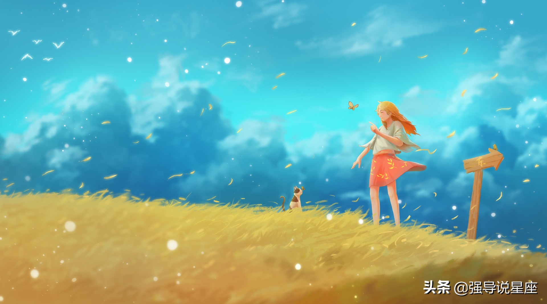 脾气倔强很难劝得住的两大星座,哪个星座能忍得了天蝎座