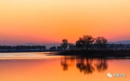 茶叶礼盒广告语大全集,茶叶包装盒征集广告语