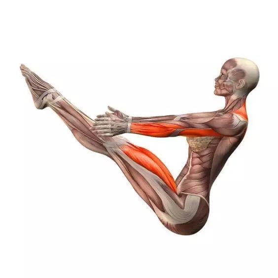 前屈组合练习,立位体前屈动作示范