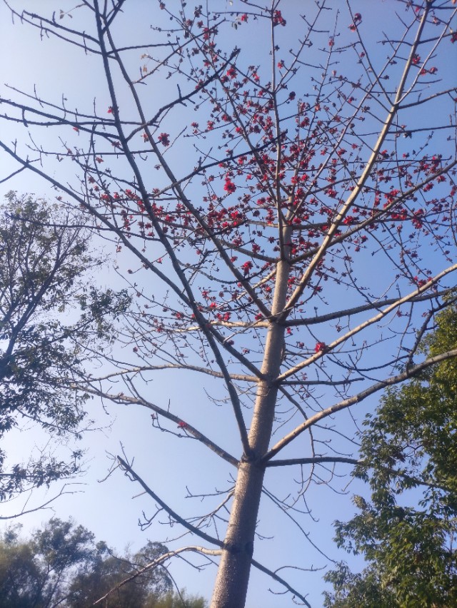 龙门县永汉镇上埔村,永汉镇星墩埔新村存在多少年