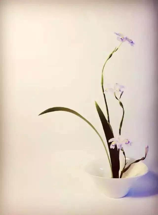 诗词纳兰容若,十首纳兰容若的经典诗词令人陶醉