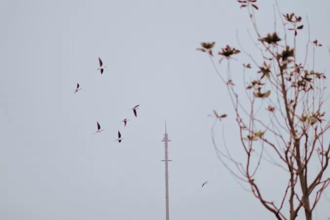 南通大学杏林学院多大面积,南通大学杏林学院排名